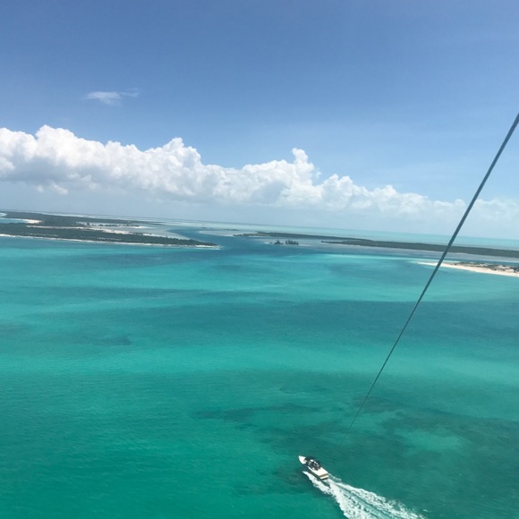 Meet your Posher, Bee - Picture 1 of 1